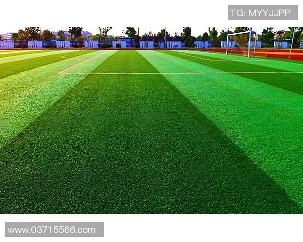 柯生足球:探索足球的魅力与激情,打造属于我们的绿色草坪梦想