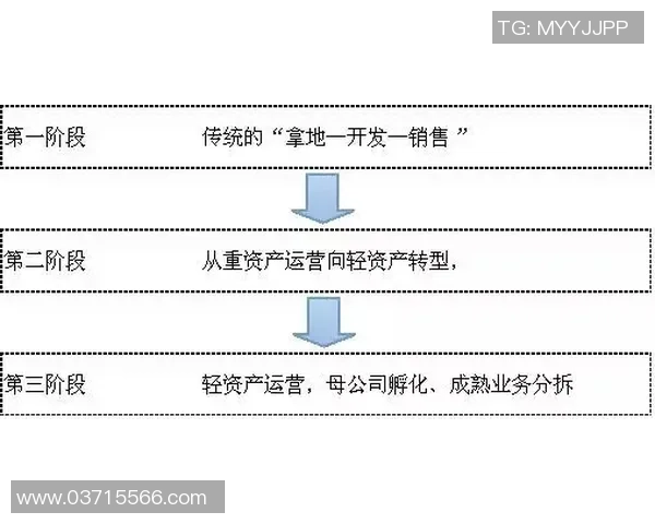 深入分析成都羽毛球队的运营策略与发展模式