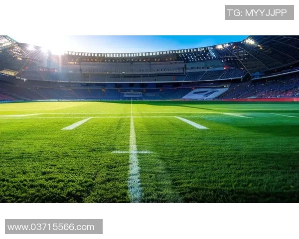 足球员西西的传奇之路与他在绿茵场上的辉煌成就回顾